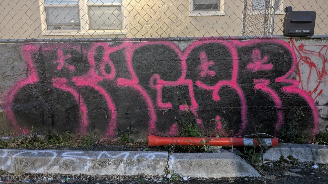 Ruger black fill with pink shell