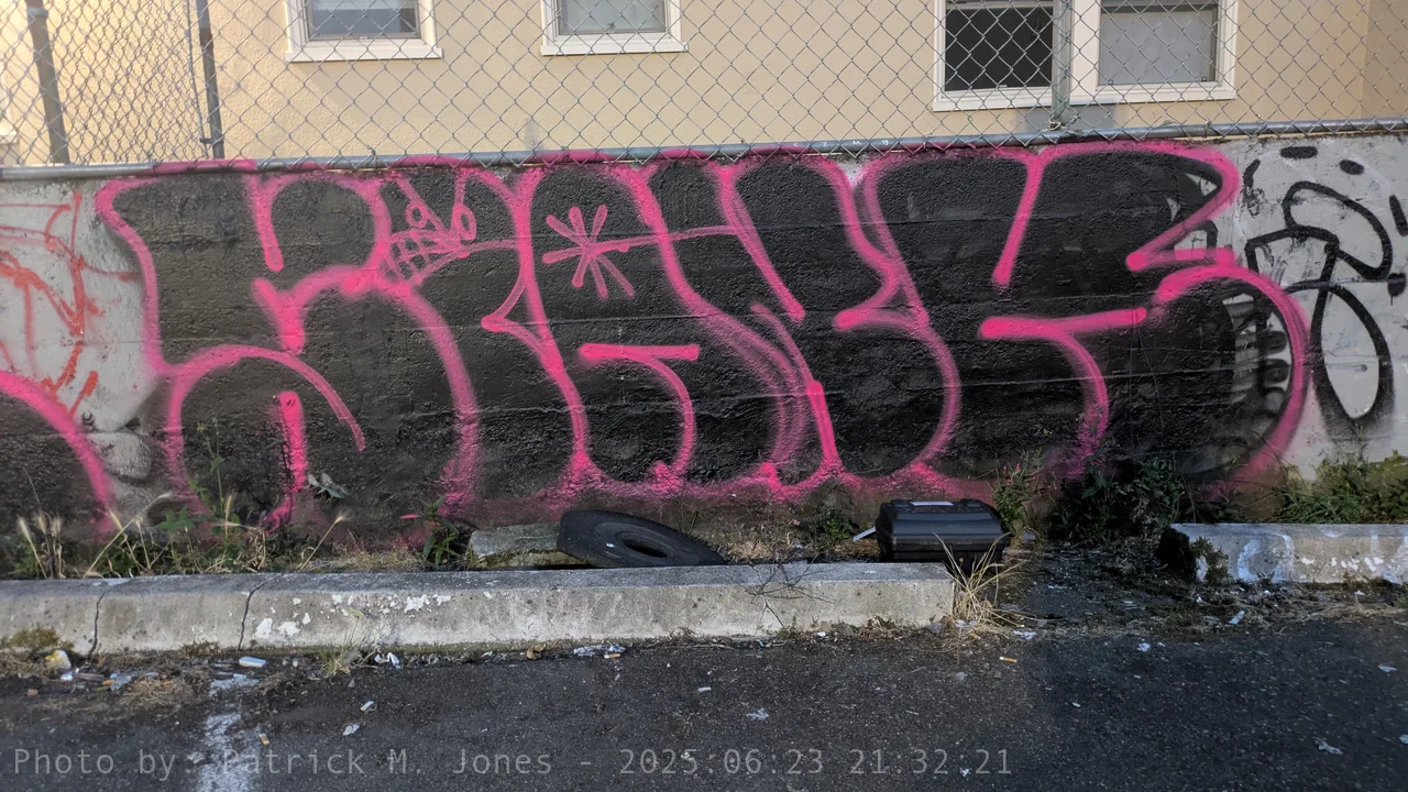 Spank black fill with pink shell