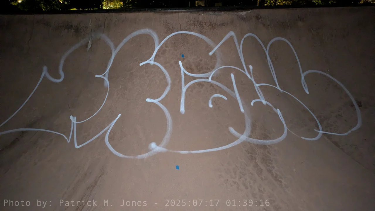 FECAL hollow in skate park