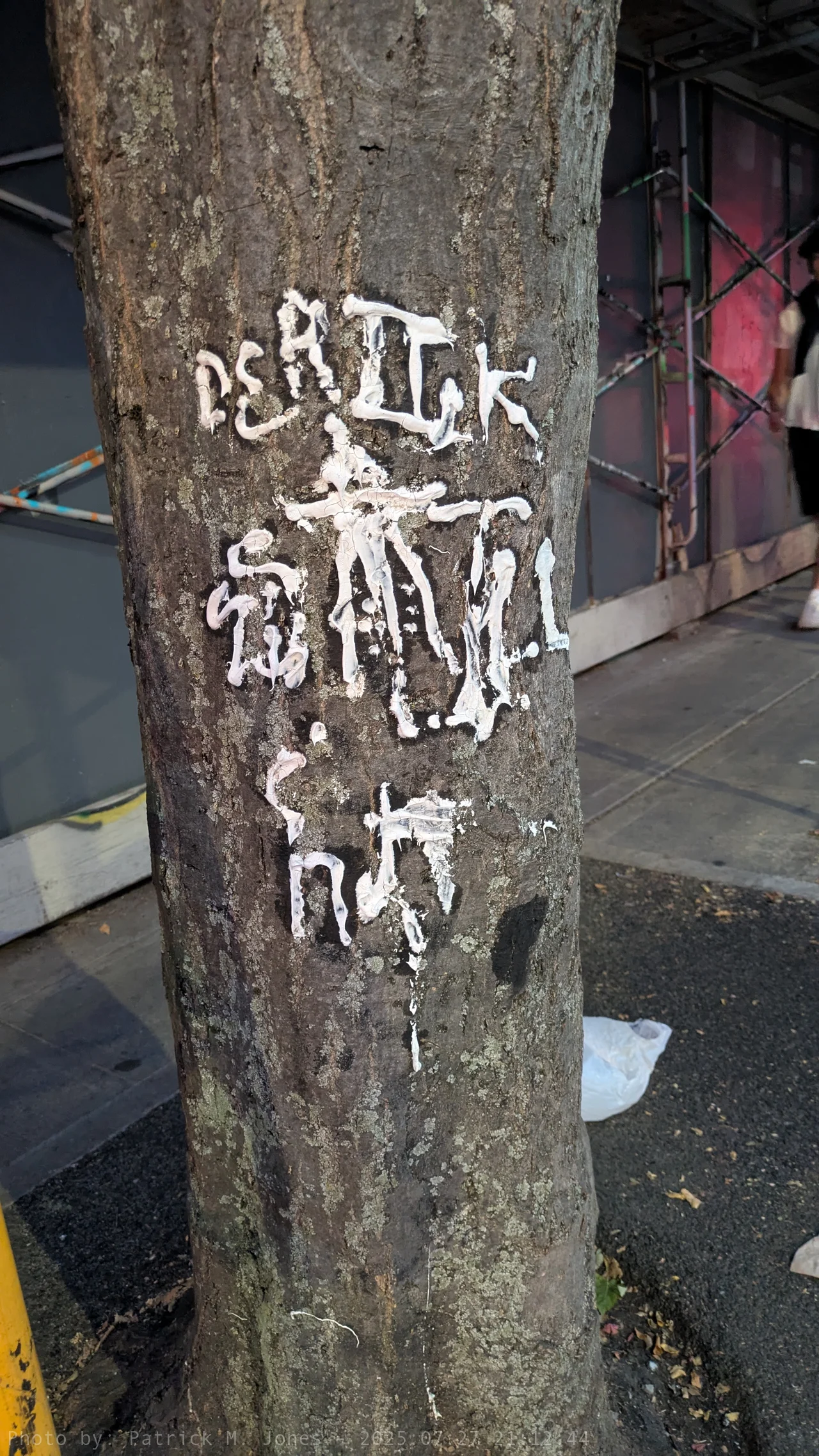 Toothpaste on a tree that might say Death Seattle something