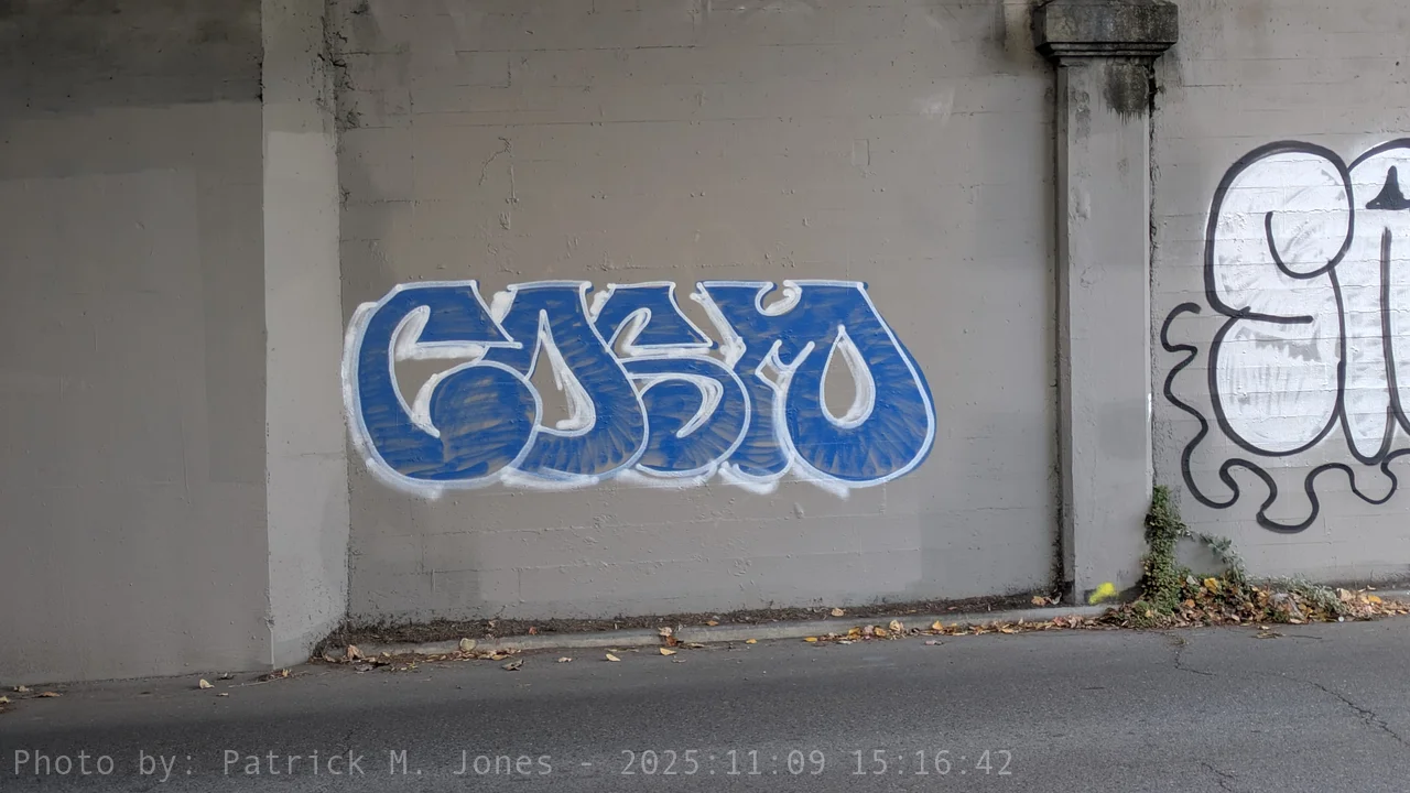 Blue Cosmo under University Bridge