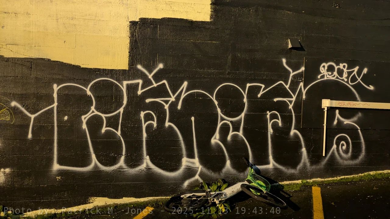 Piknik behind Black Lodge