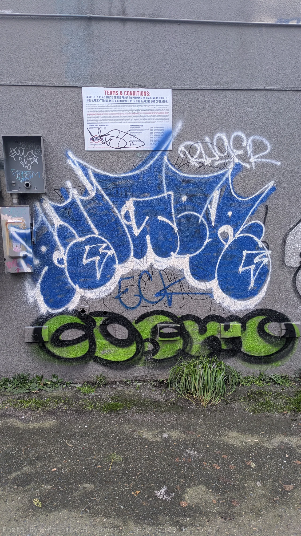 Ruger blue fill on Go Center