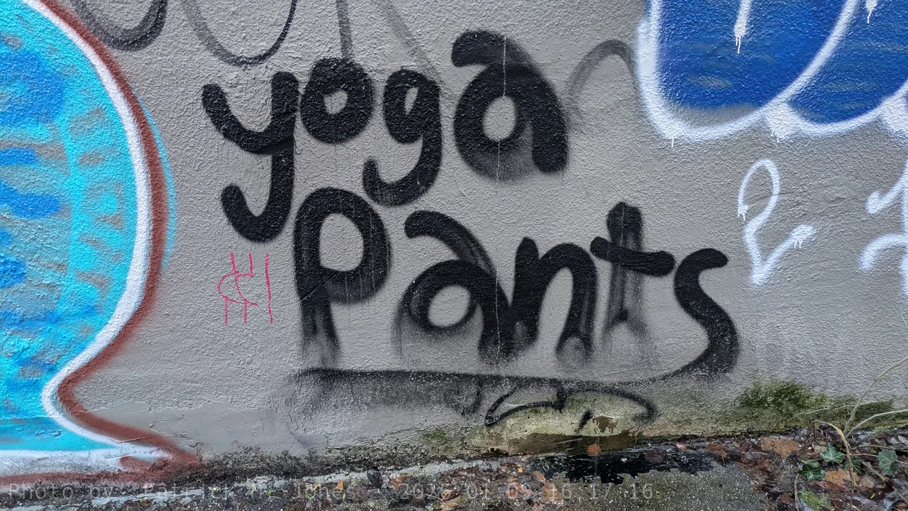 Yoga Pants
