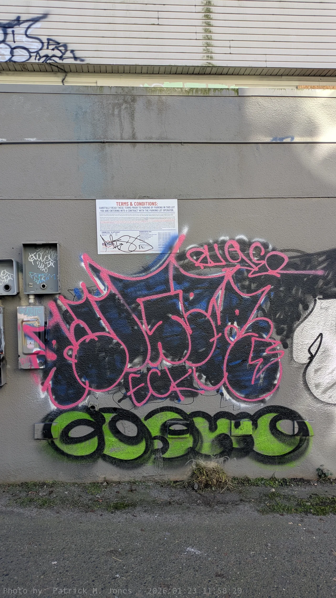 Ruger Cover-up on Go Center